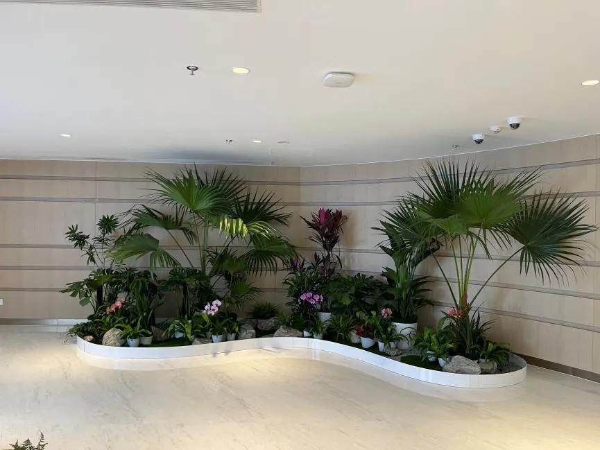 镇海花木出租方案，为你定制专属绿境